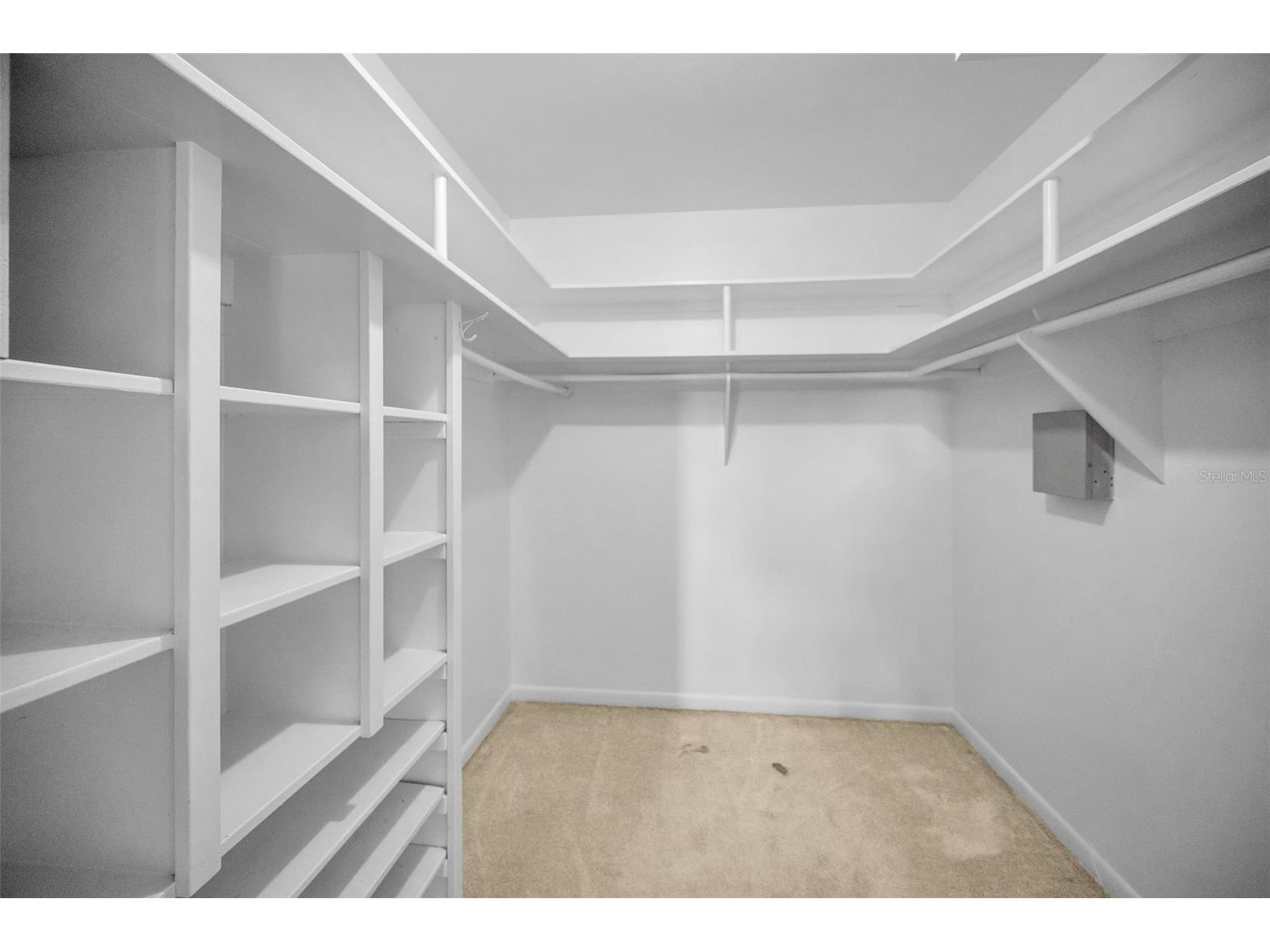 4 Hibiscus Road Belleair FL 33756 TB8465888 image39