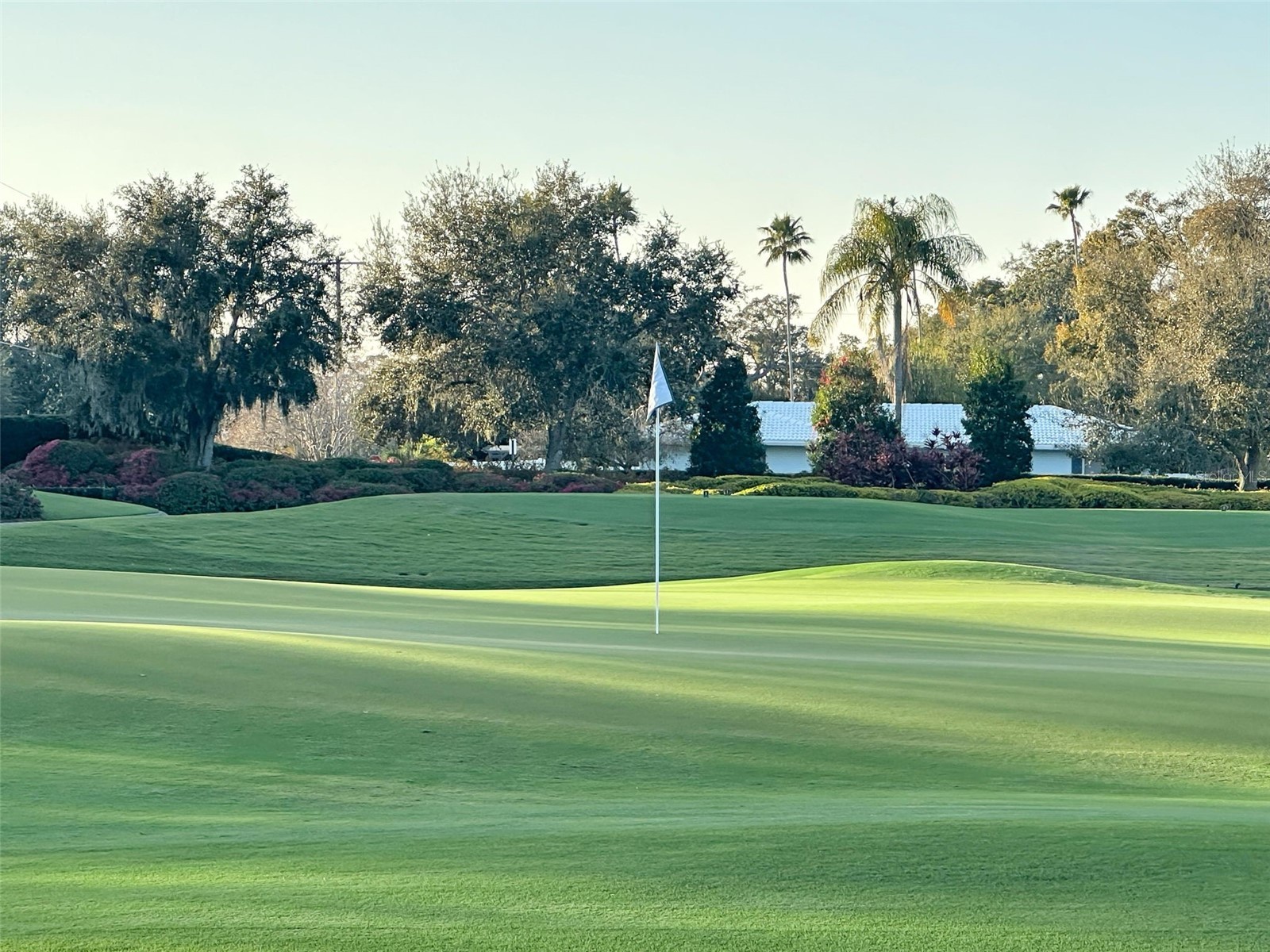 4 Hibiscus Road Belleair FL 33756 TB8465888 image64