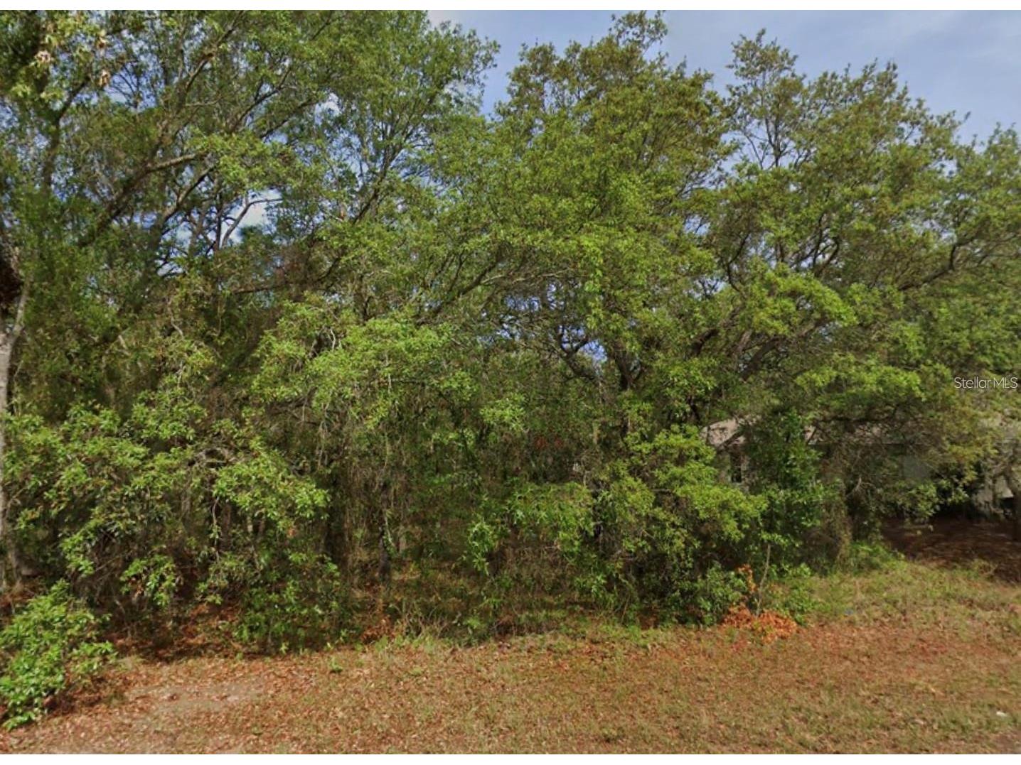 4 Honeysuckle Court N Homosassa FL 34446 O6404492 image1