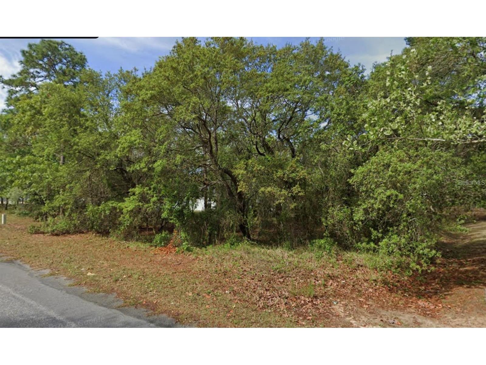 4 Honeysuckle Court N Homosassa FL 34446 O6404492 image2