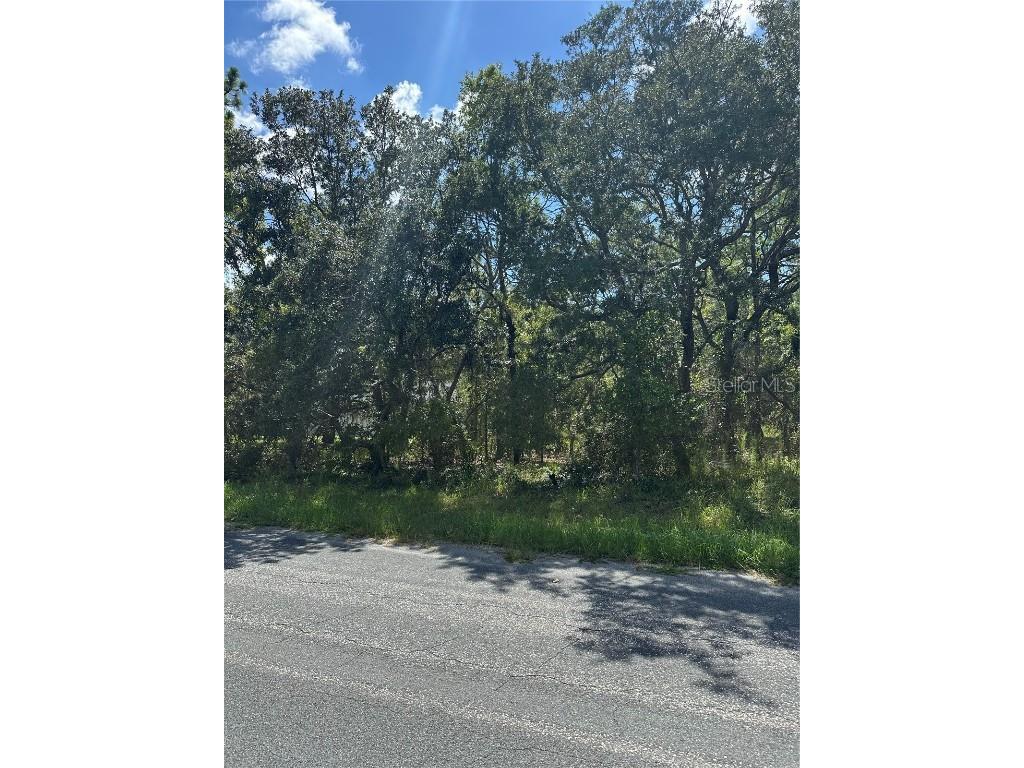 4 Honeysuckle Court N Homosassa FL 34446 OM708711 image1