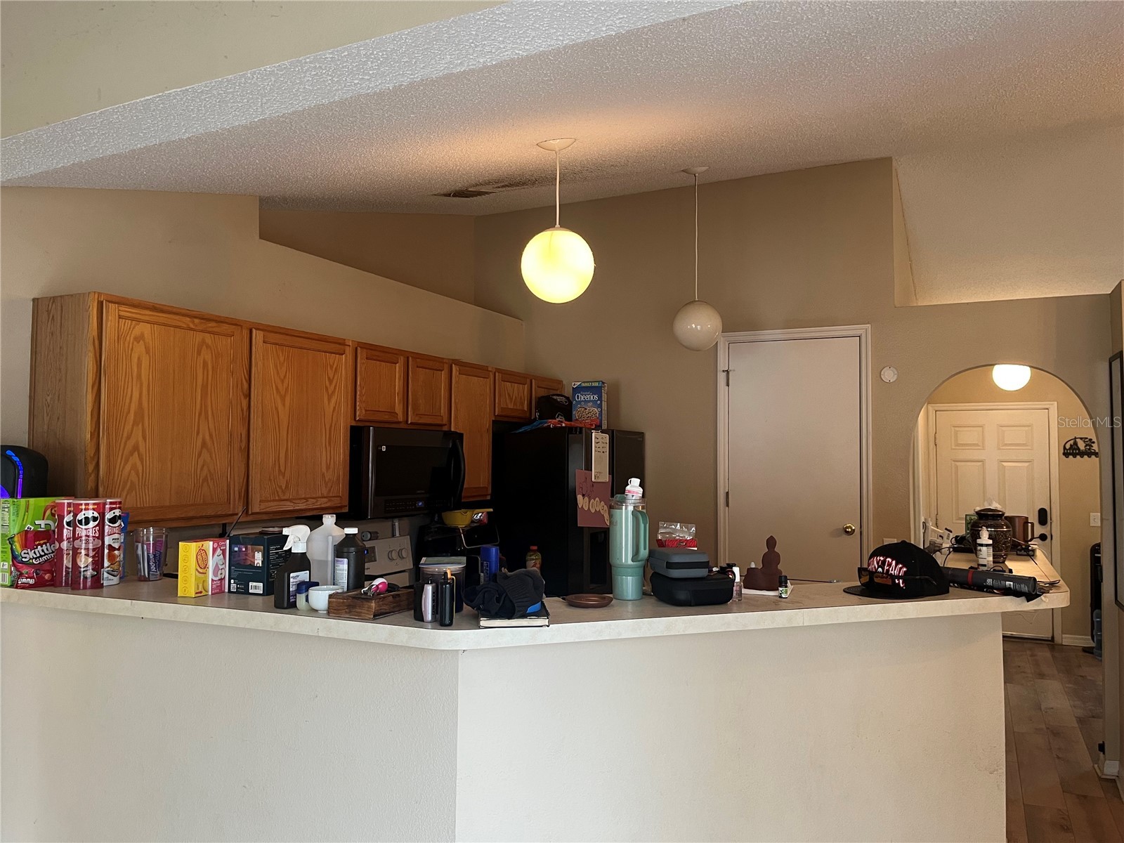 4 Inconnu Drive Kissimmee FL 34759 O6404800 image10