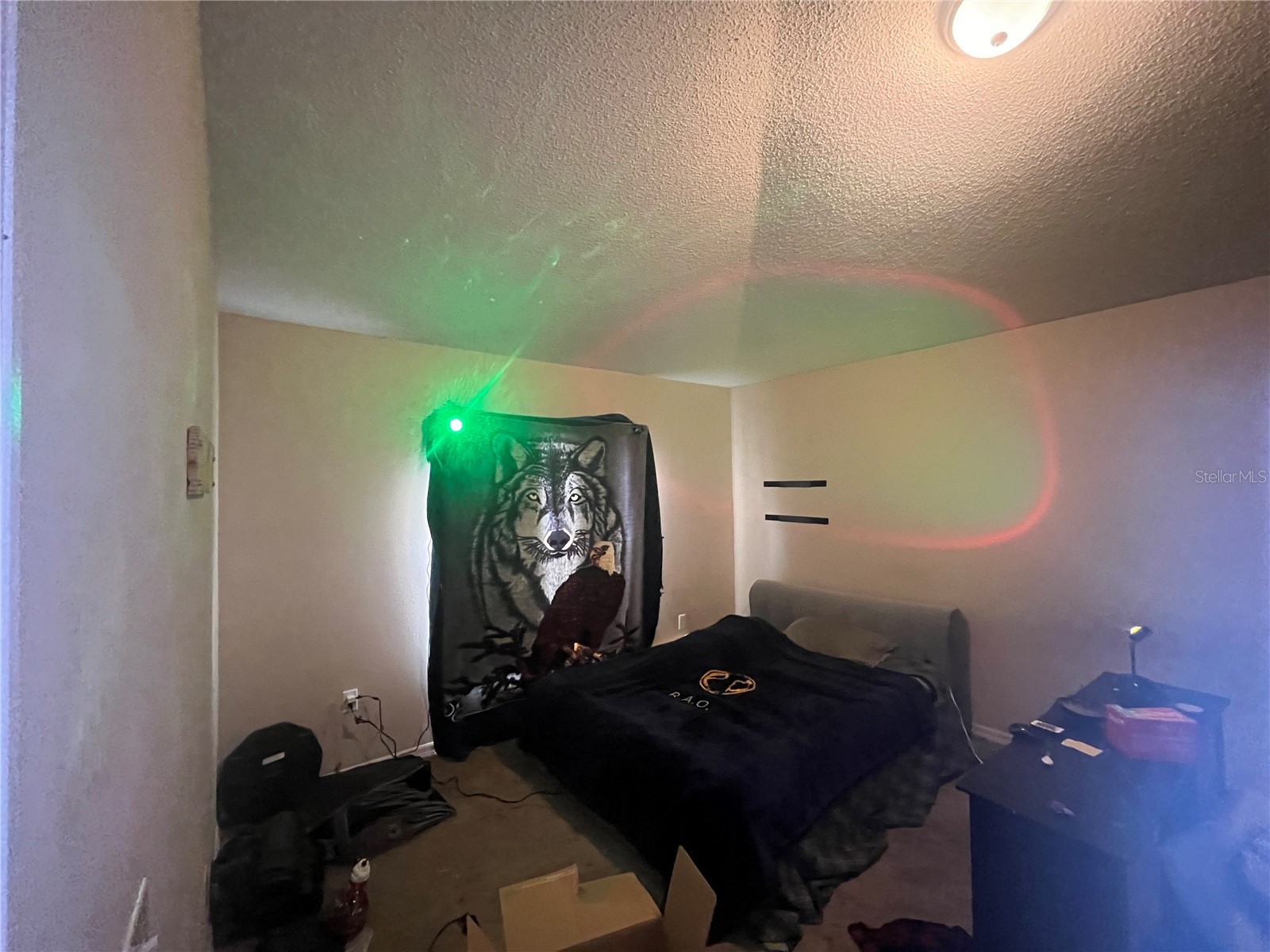 4 Inconnu Drive Kissimmee FL 34759 O6404800 image11