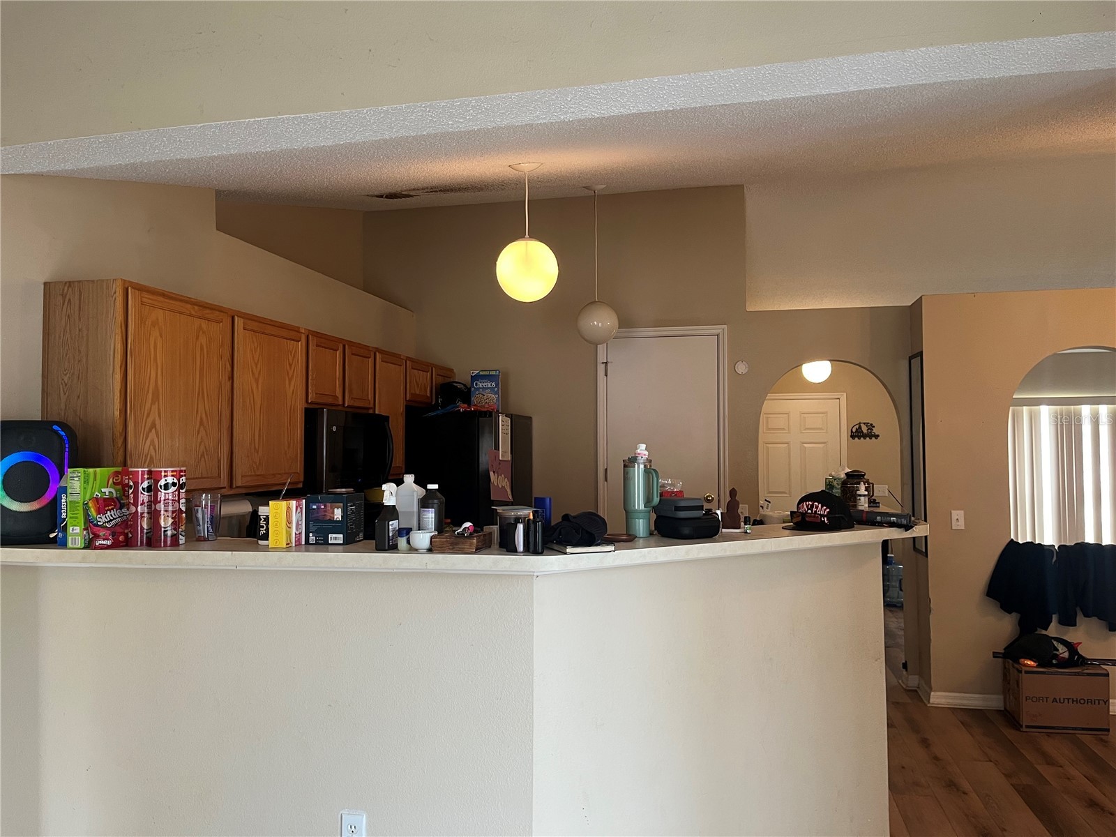4 Inconnu Drive Kissimmee FL 34759 O6404800 image9