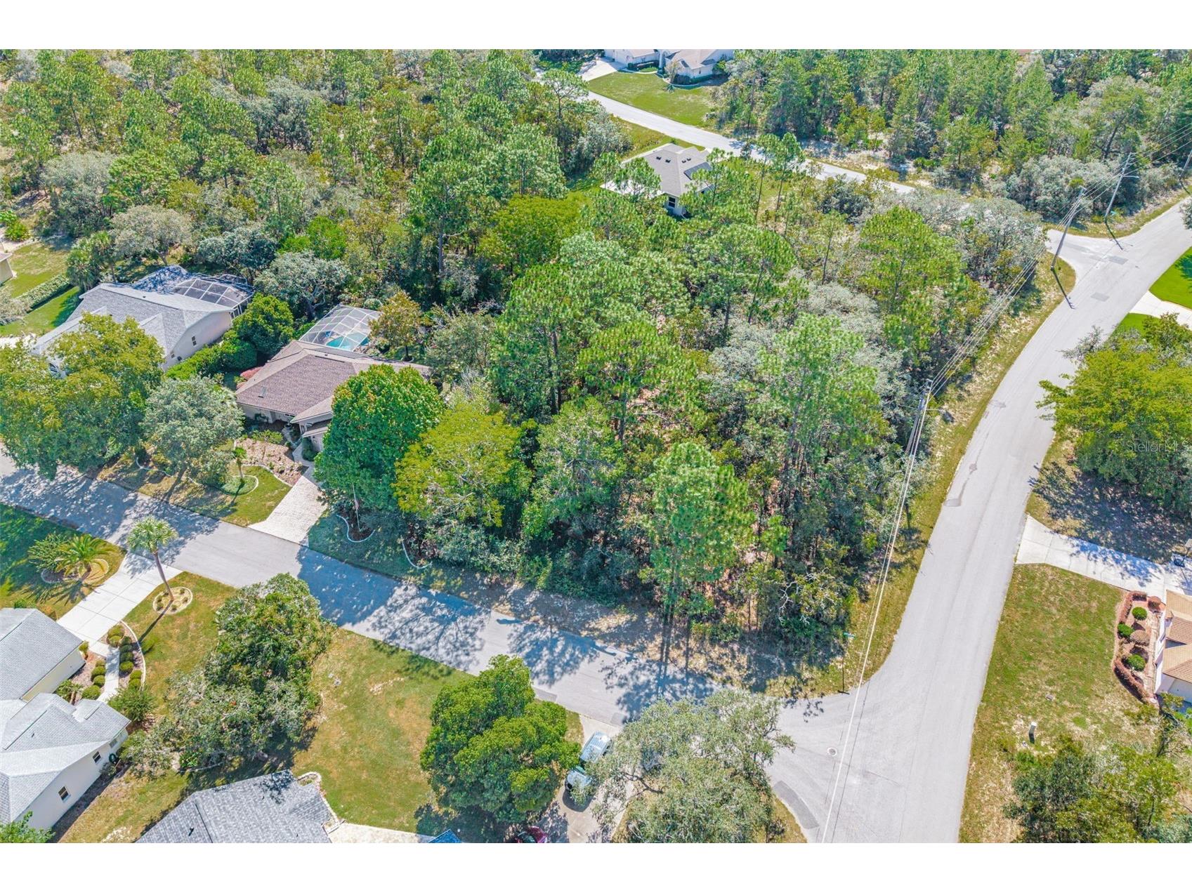 4 Ipomoea Court Homosassa FL 34446 OM710402 image36