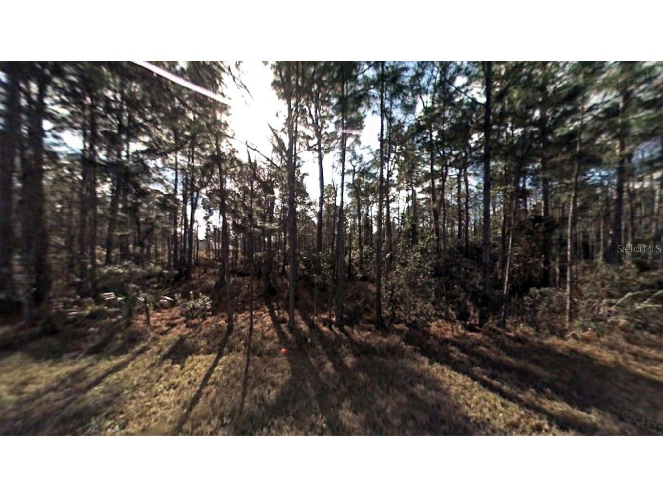 4 Lleberry Path Palm Coast FL 32164 T3459541 image1