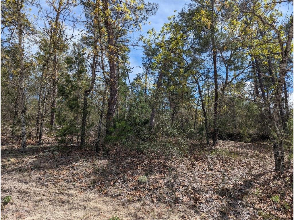 4 Lone Pine Street Homosassa FL 34446 U8233742 image1