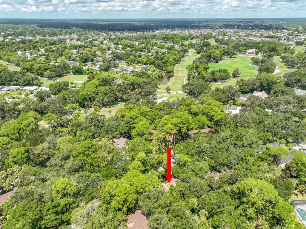 4 Masters Court #4 Palm Coast FL 32137 FC311957 image3