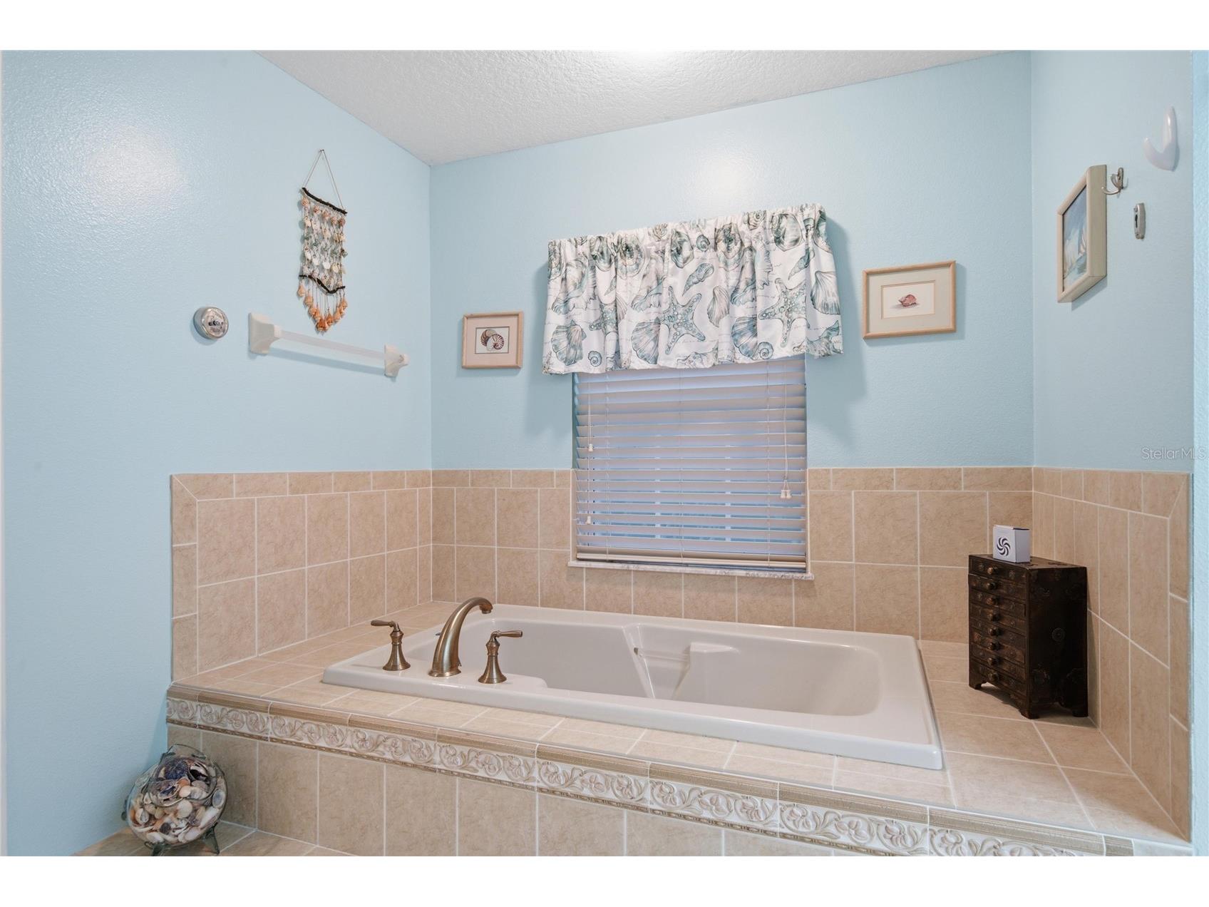 4 Milbark Drive Homosassa FL 34446 TB8525788 image26