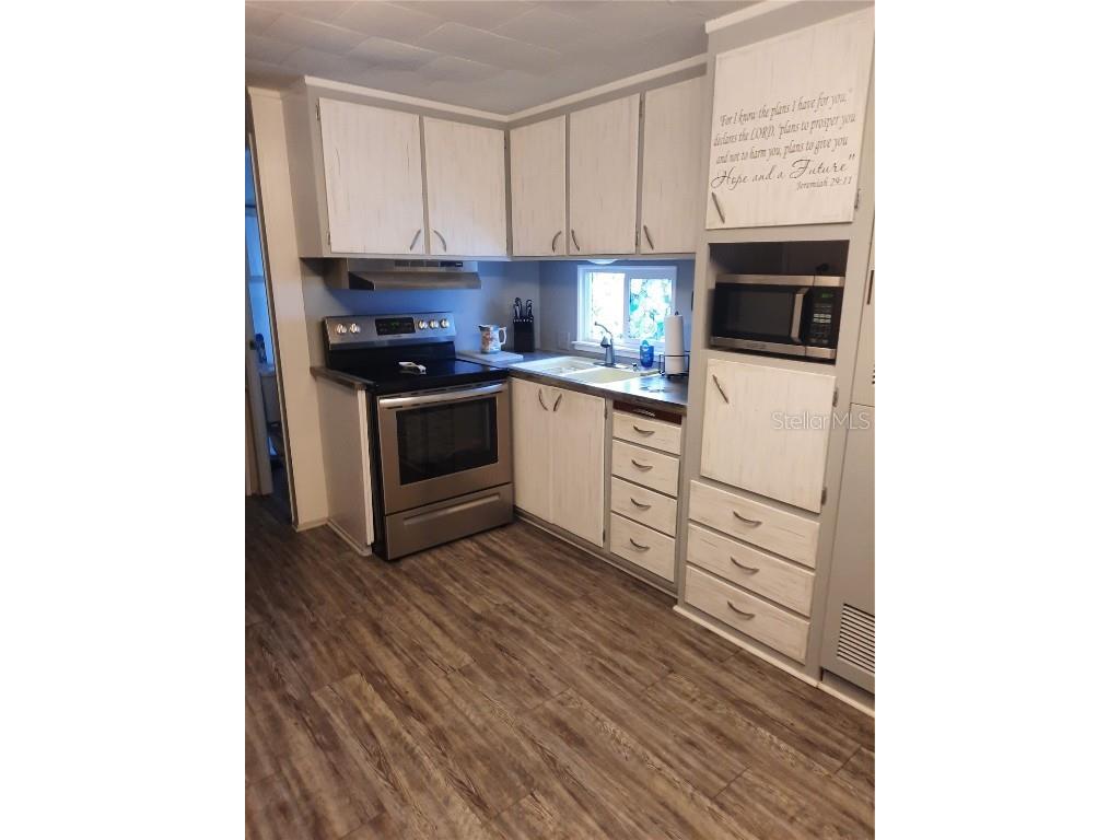 4 Palm Place Tavares FL 32778 O6345182 image10