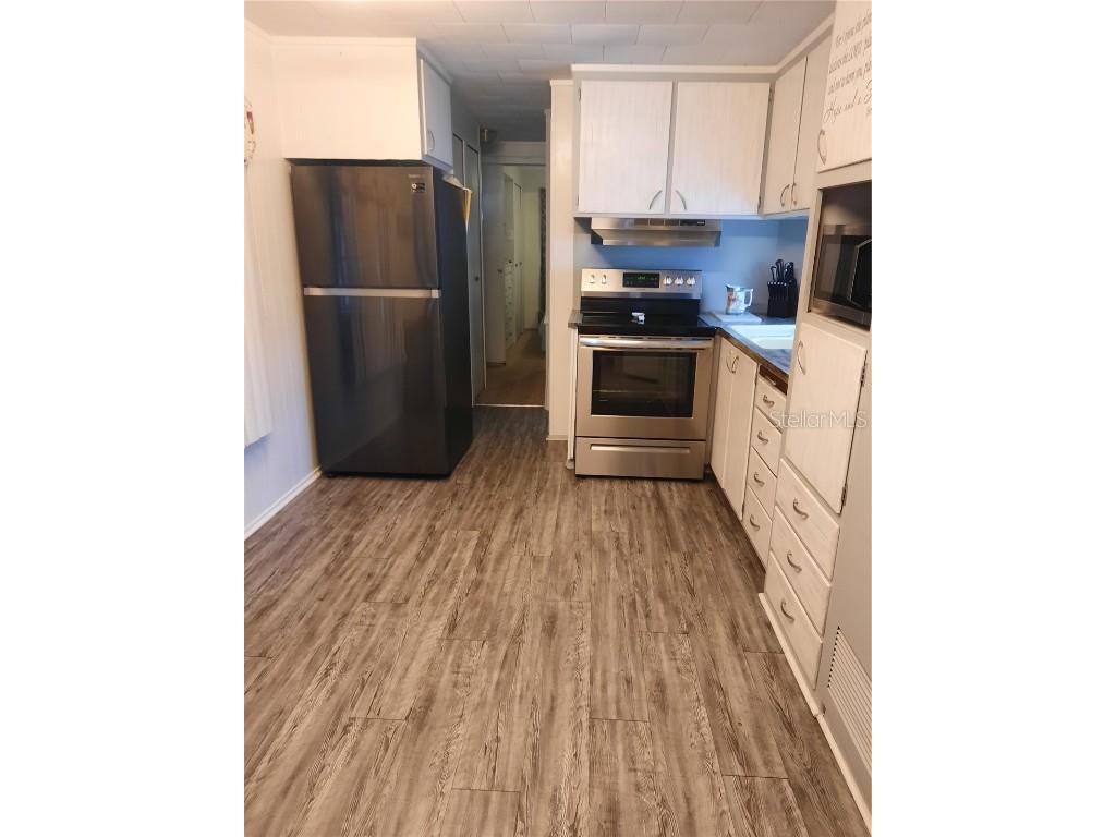 4 Palm Place Tavares FL 32778 O6345182 image11