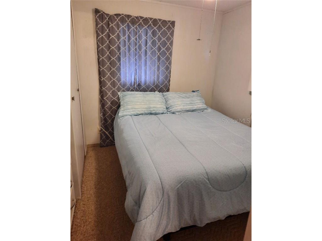 4 Palm Place Tavares FL 32778 O6345182 image16