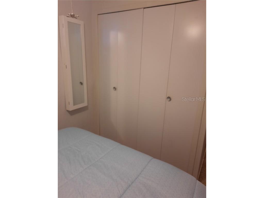 4 Palm Place Tavares FL 32778 O6345182 image18