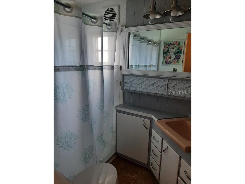 4 Palm Place Tavares FL 32778 O6345182 image19