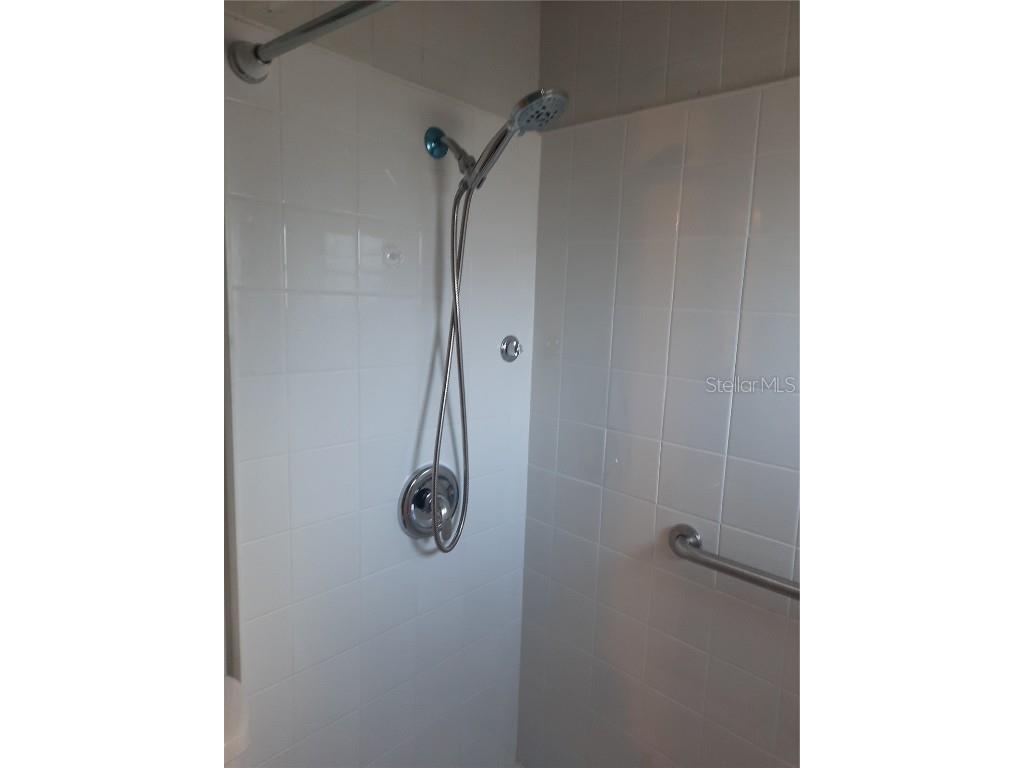 4 Palm Place Tavares FL 32778 O6345182 image20