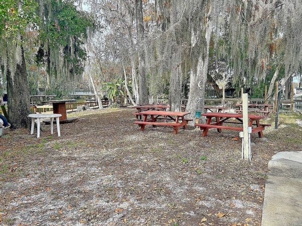 4 Palm Place Tavares FL 32778 O6345182 image21