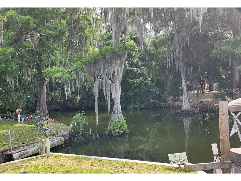 4 Palm Place Tavares FL 32778 O6345182 image4