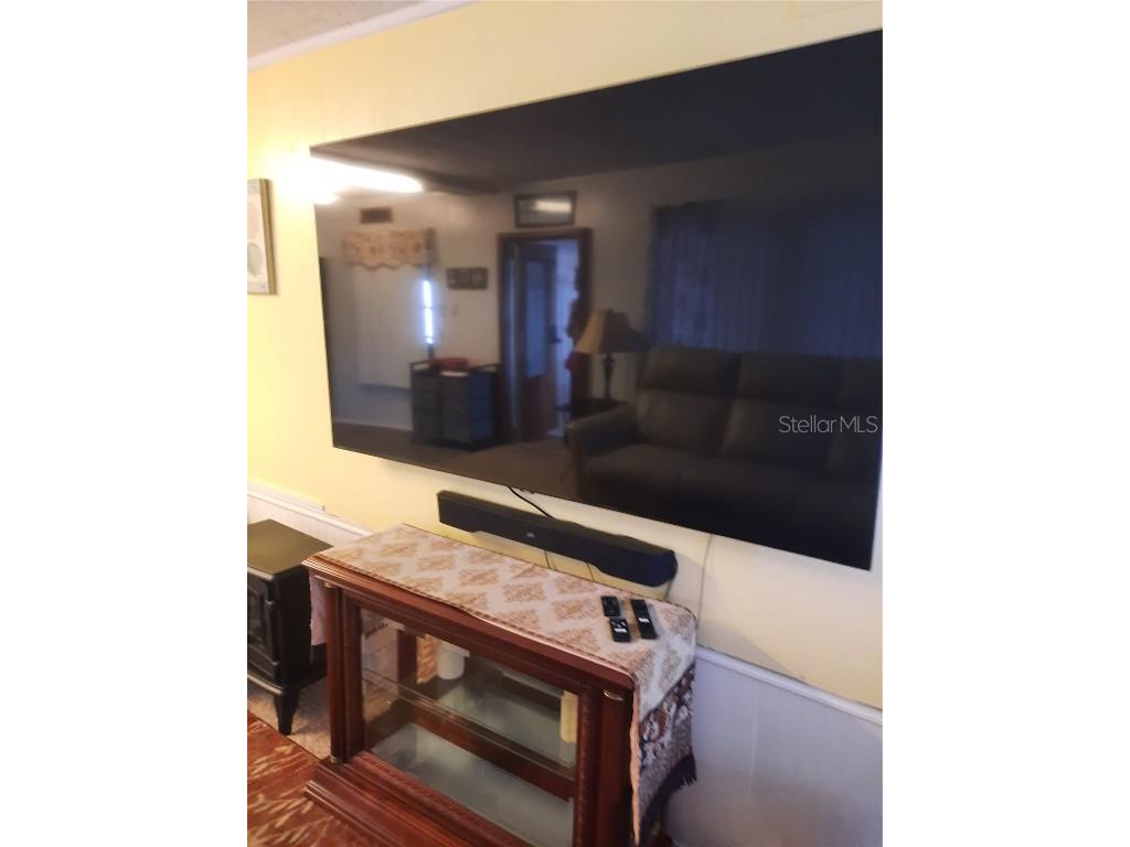 4 Palm Place Tavares FL 32778 O6345182 image9