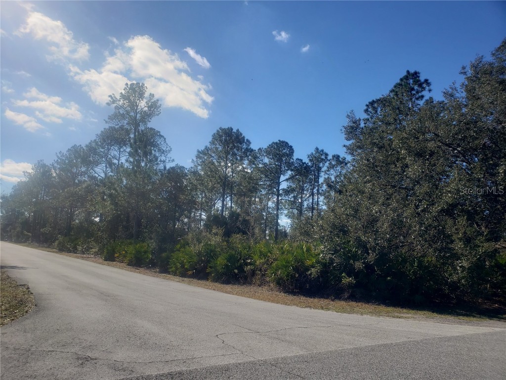 4 Rainbow Lane Palm Coast FL 32164 FC288617 image1