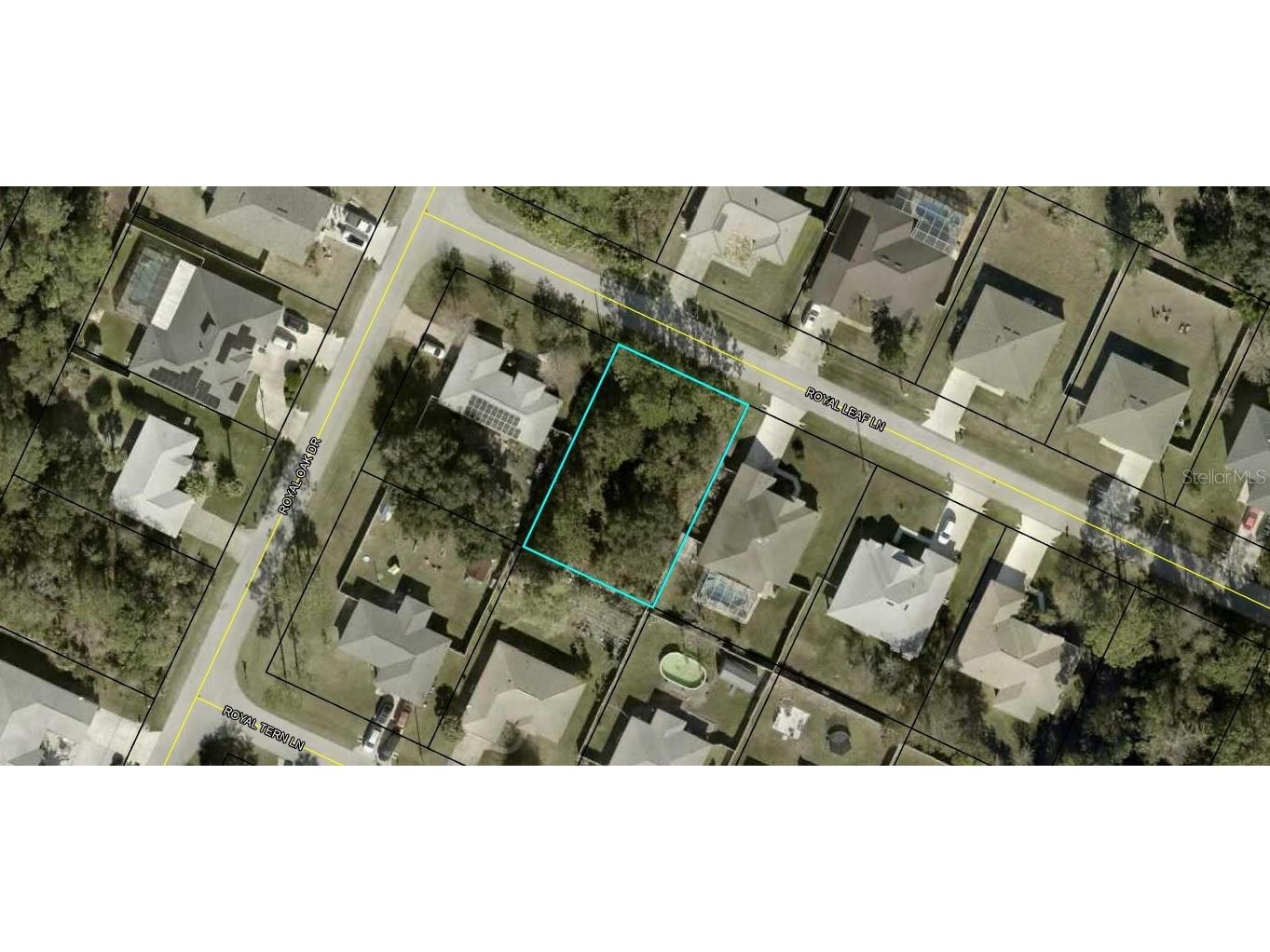 4 Royal Leaf Lane Palm Coast FL 32164 FC316565 image1
