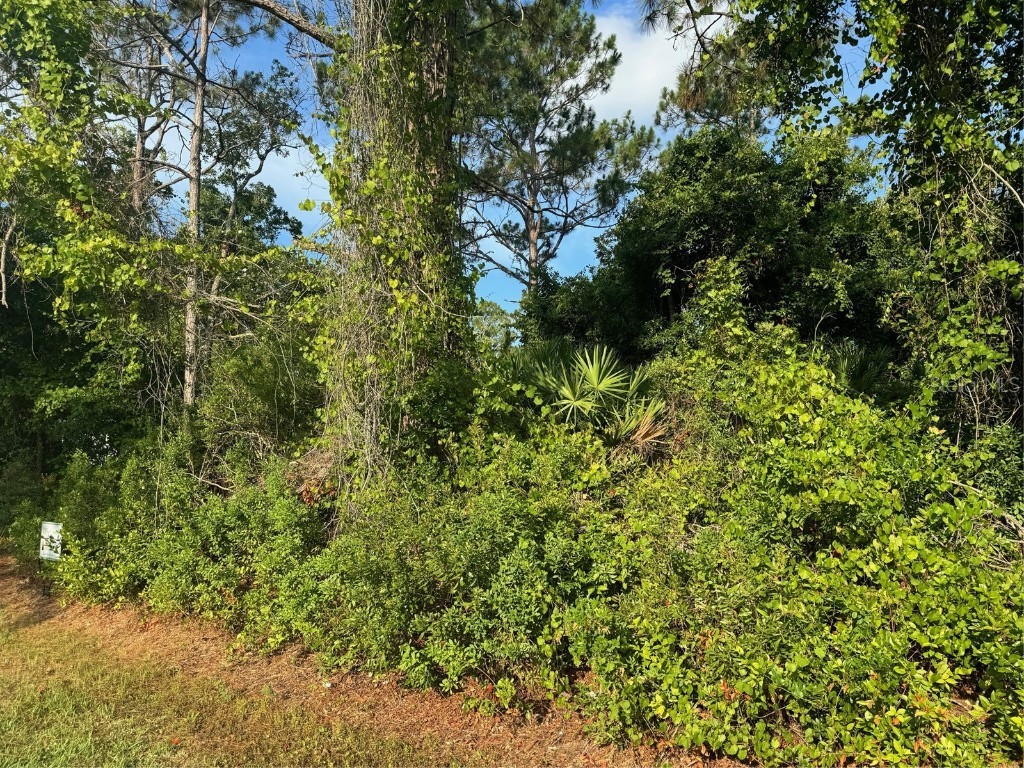 4 Russkin Lane Palm Coast FL 32164 FC301582 image1