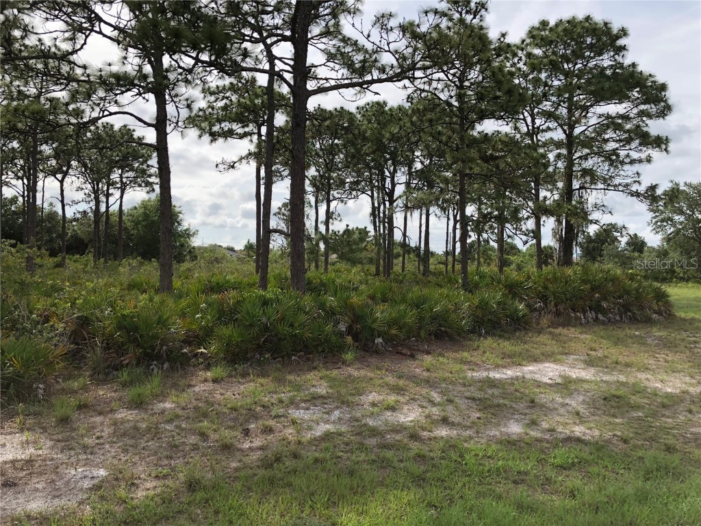 4 Ships Lane Placida FL 33946 C7483707 image1