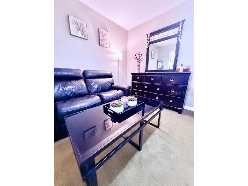 4 Stone Quarry Trail Ormond Beach FL 32174 FC311163 image41