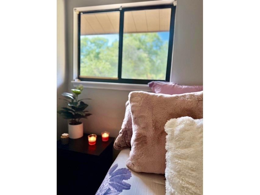 4 Stone Quarry Trail Ormond Beach FL 32174 FC311163 image54