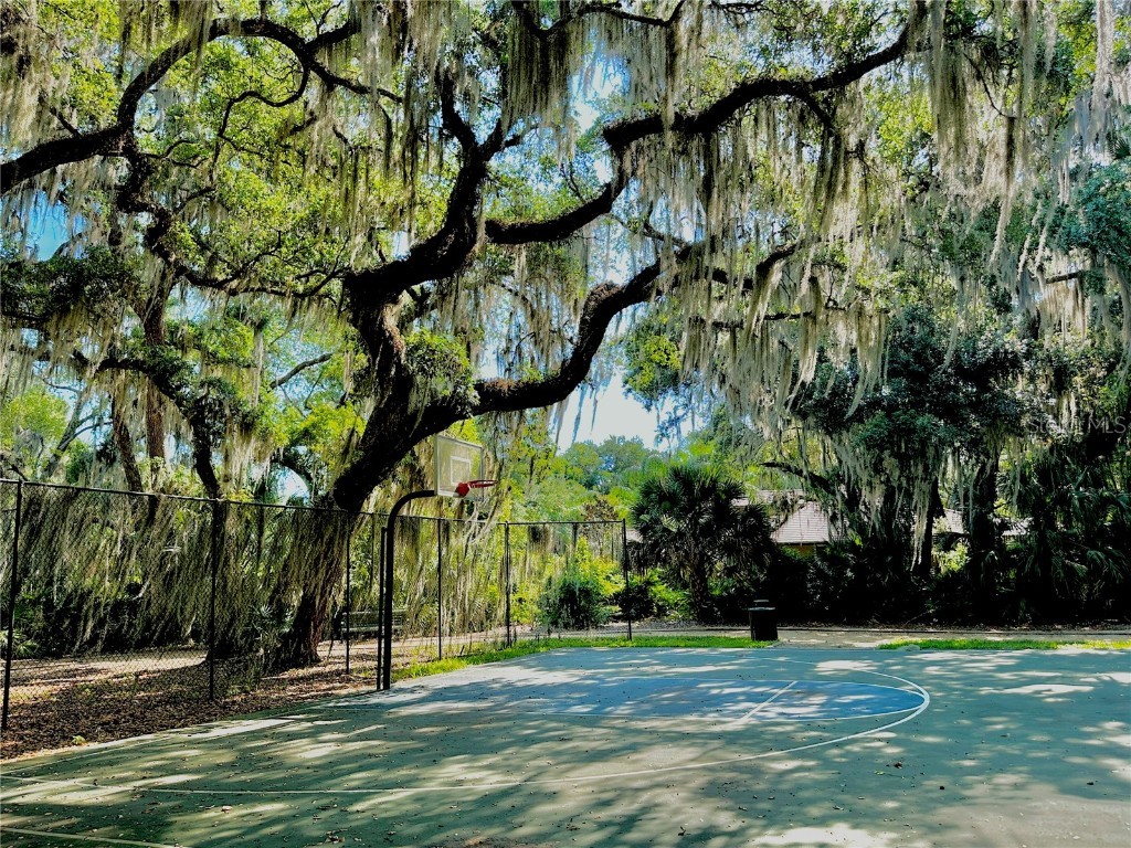 4 Turkey Oak Lane Palm Coast FL 32137 FC300504 image28