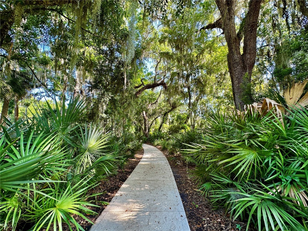 4 Turkey Oak Lane Palm Coast FL 32137 FC300504 image4