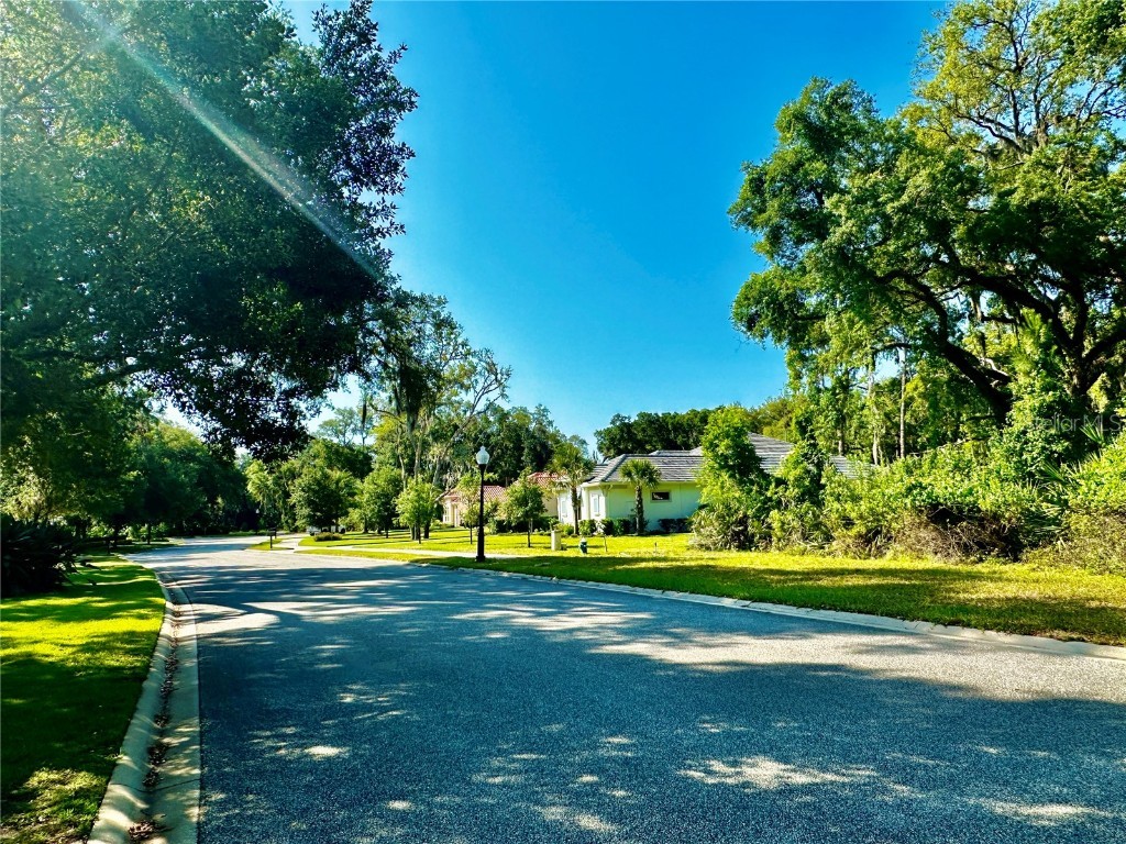 4 Turkey Oak Lane Palm Coast FL 32137 FC300504 image8