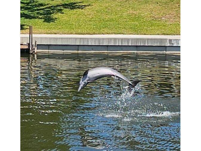 4 Windsor Drive Englewood FL 34223 N6135900 image2