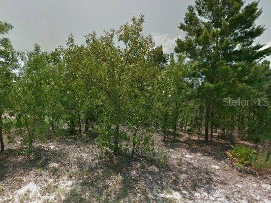 4 Zinnias Court Homosassa FL 34446 W7842688 image1