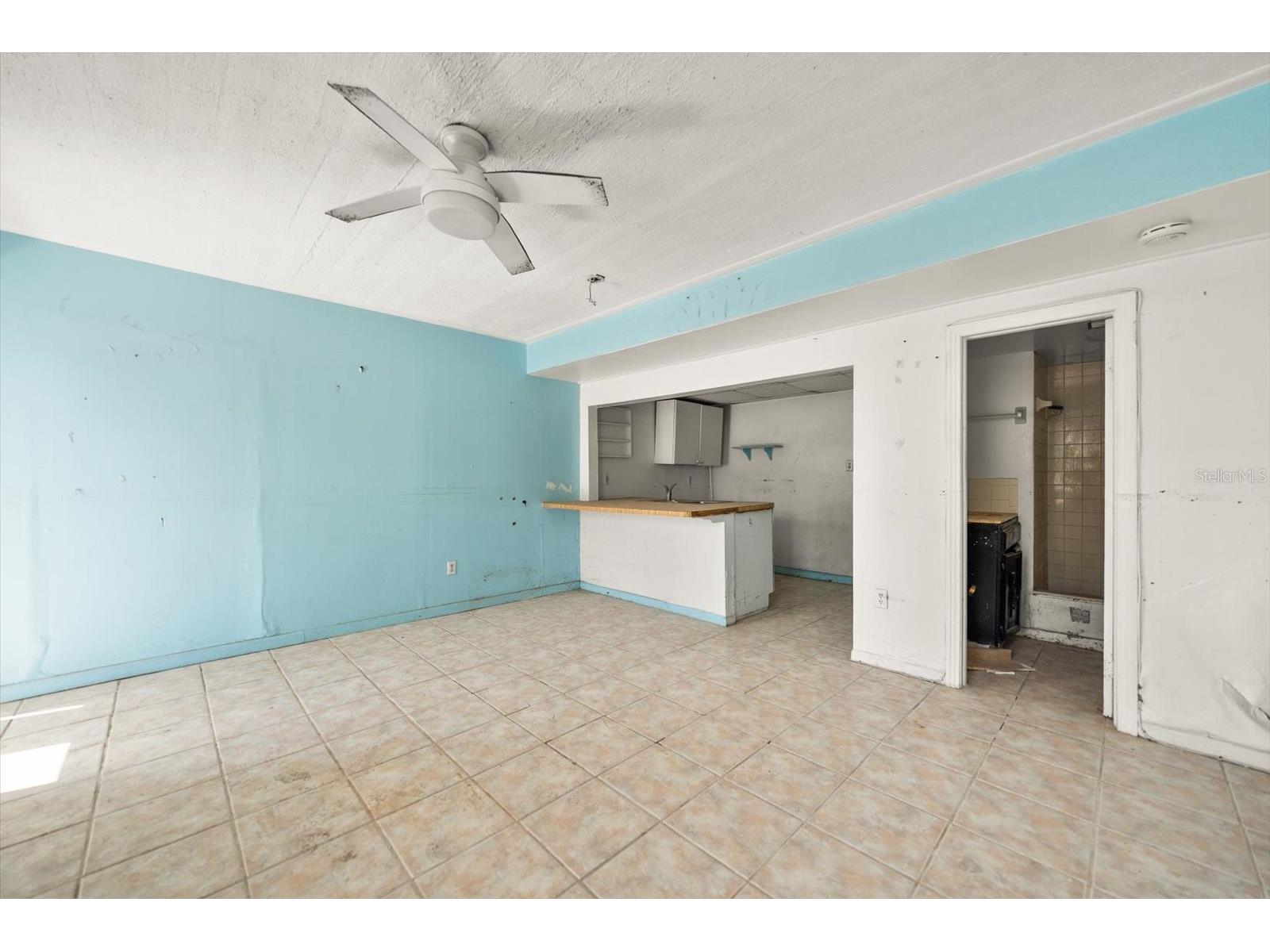 40 77th Avenue Treasure Island FL 33706 - GULF OF MEXICO & BLIND PASS TB8503930 image42
