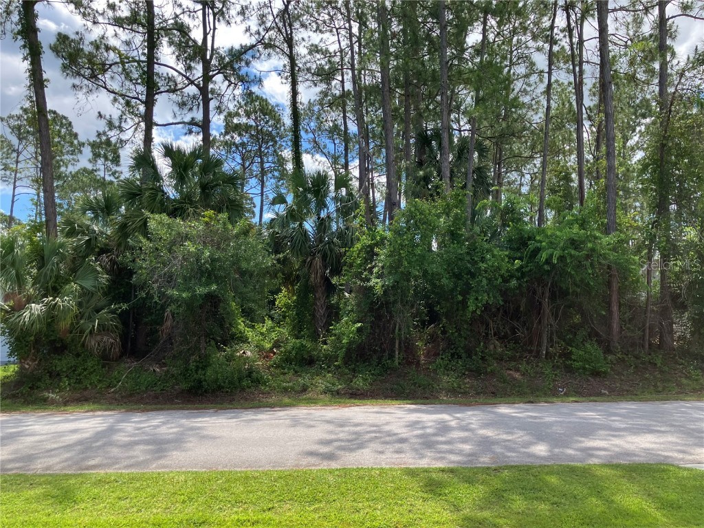 40 Brigadoon Lane Palm Coast FL 32137 FC309690 image1