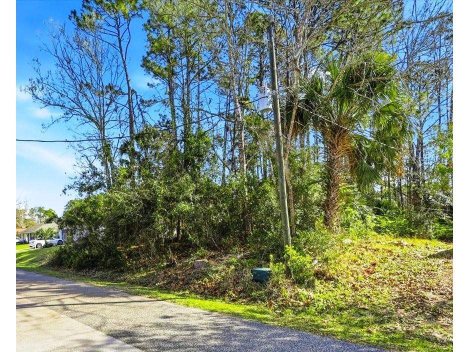 40 Brushwood Lane Palm Coast FL 32137 FC316923 image1