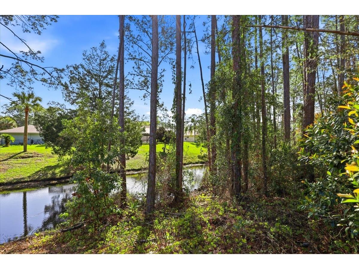 40 Brushwood Lane Palm Coast FL 32137 FC316923 image3