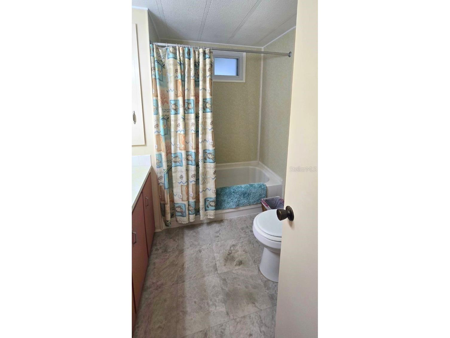 40 Concord Lane Palm Harbor FL 34684 TB8476911 image21