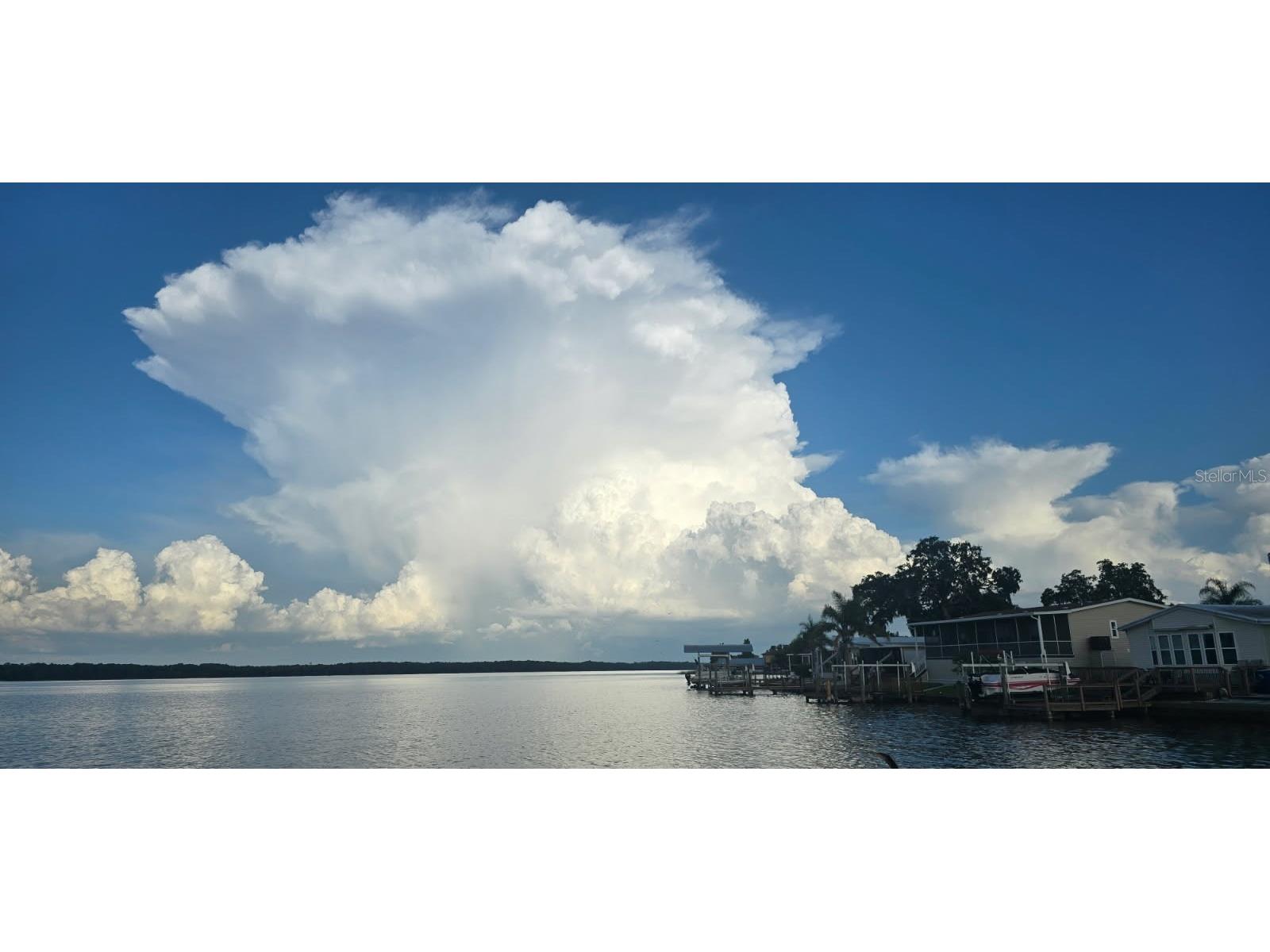 40 Concord Lane Palm Harbor FL 34684 TB8476911 image23