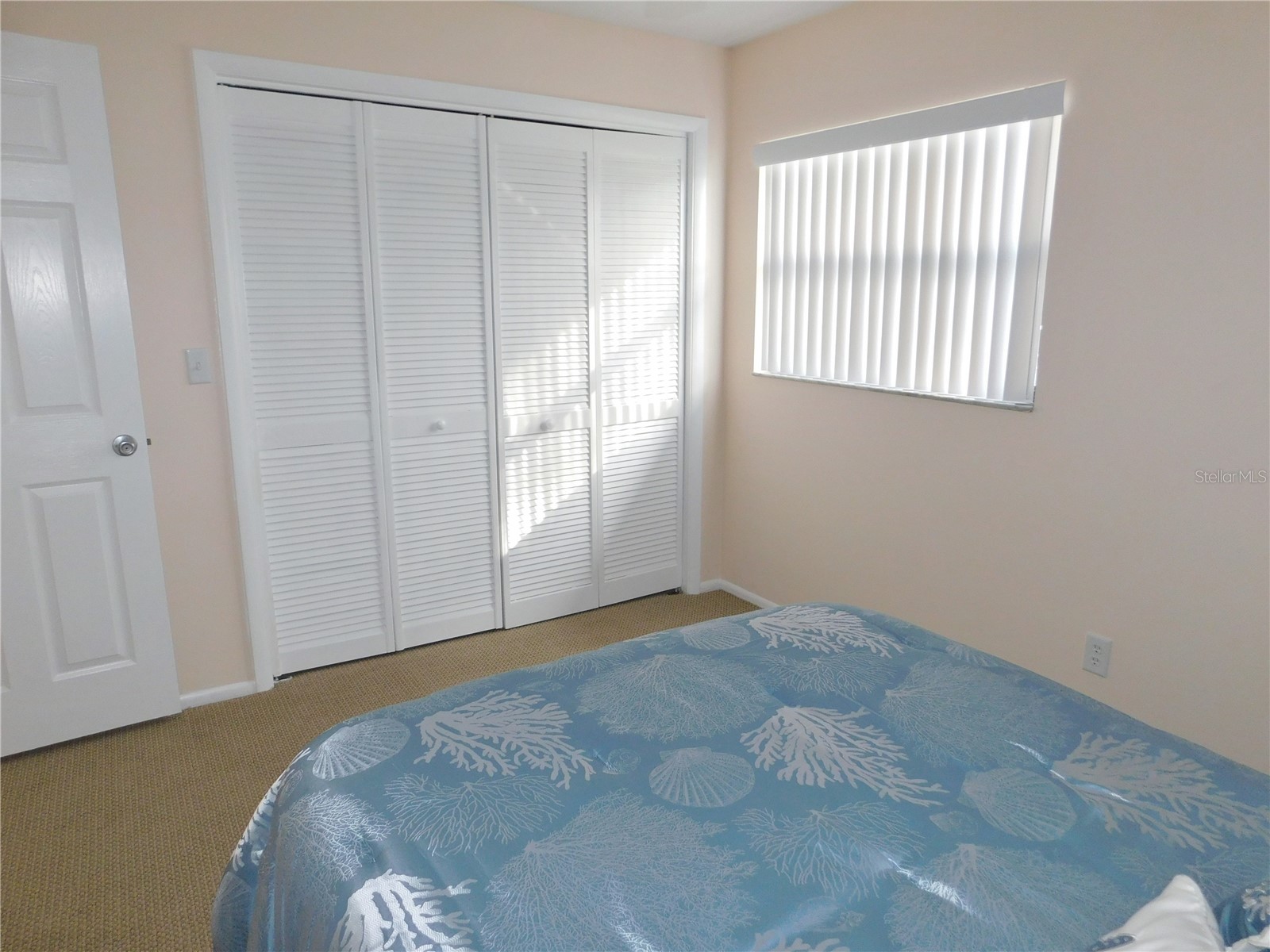 40 Dale Place Oldsmar FL 34677 TB8496677 image17
