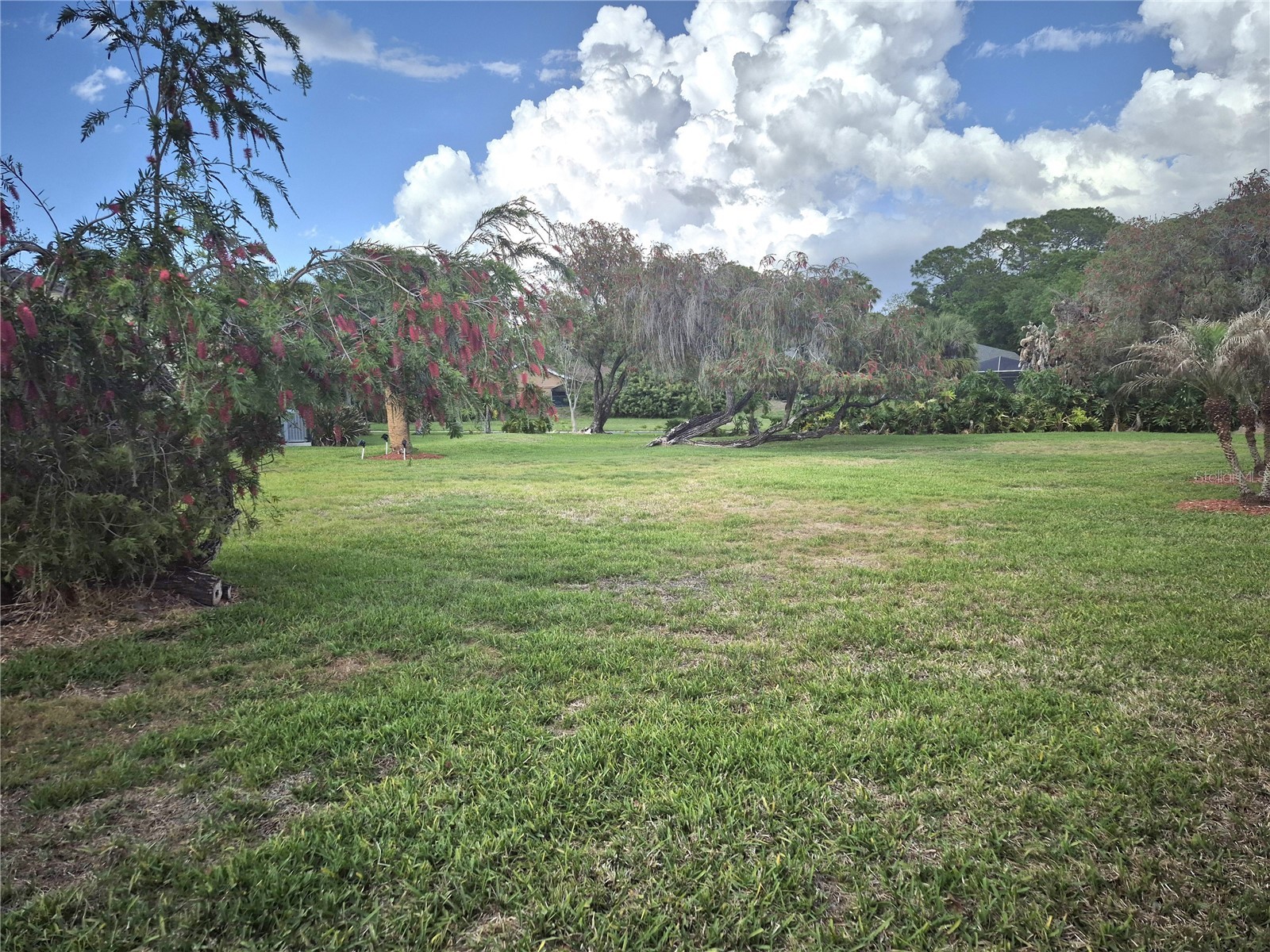40 Dale Place Oldsmar FL 34677 TB8496677 image4