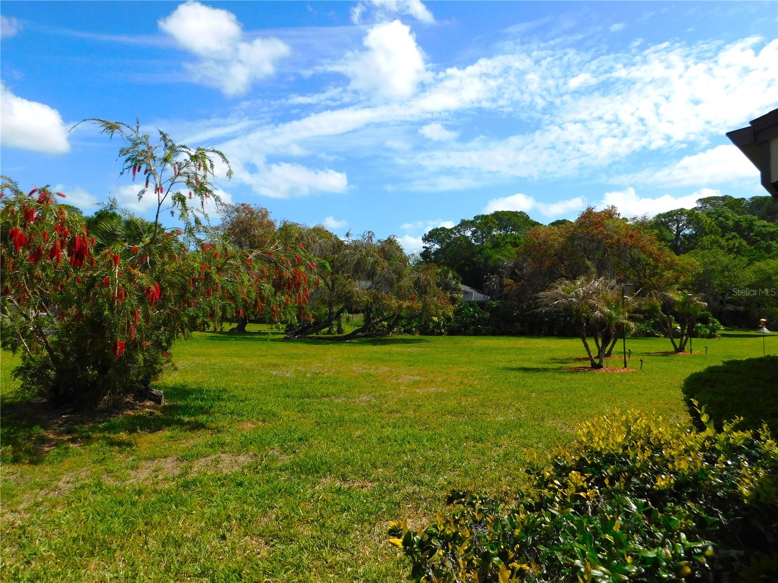 40 Dale Place Oldsmar FL 34677 TB8496677 image5