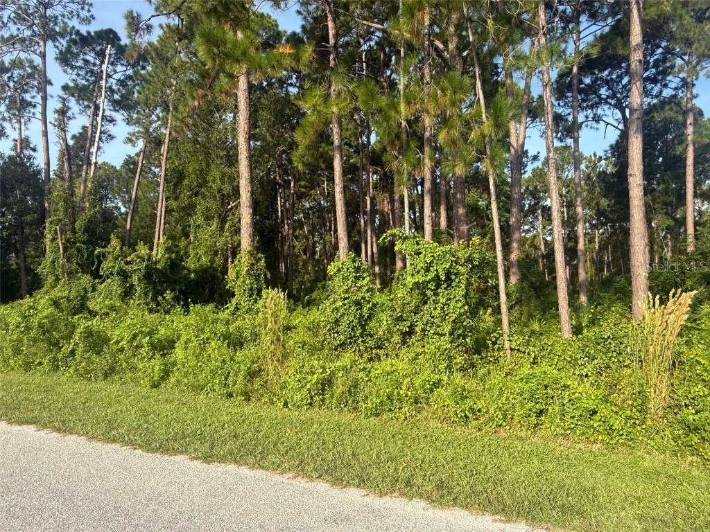 40 Dial Avenue Debary FL 32713 V4944810 image2