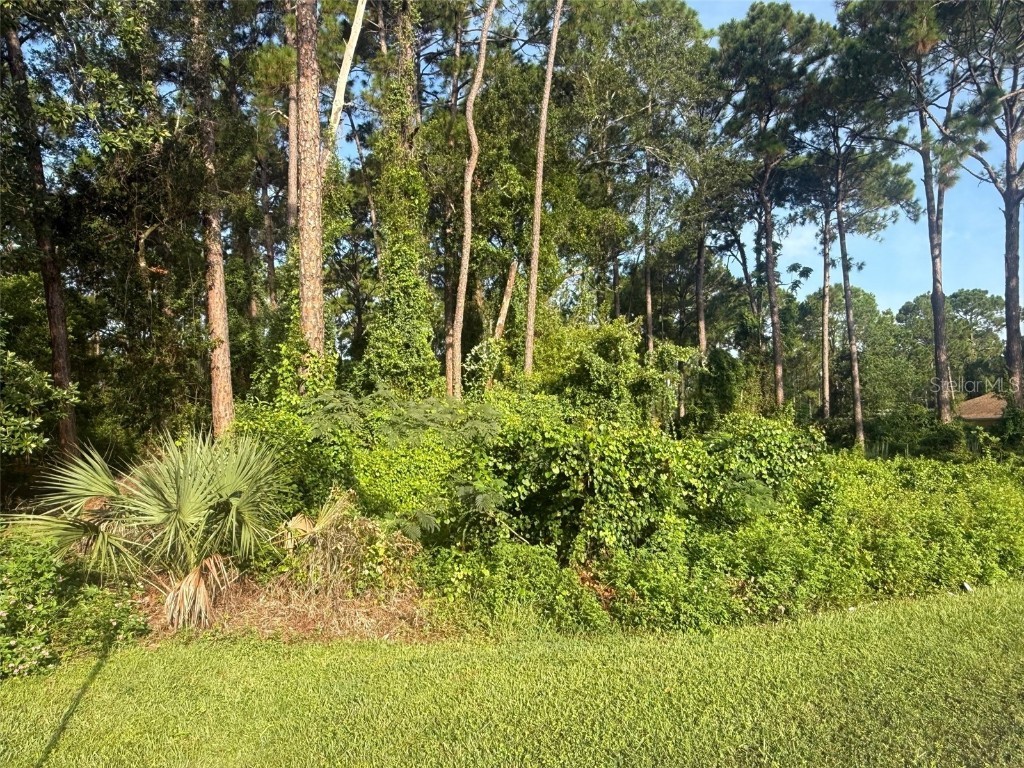 40 Dial Avenue Debary FL 32713 V4944810 image3