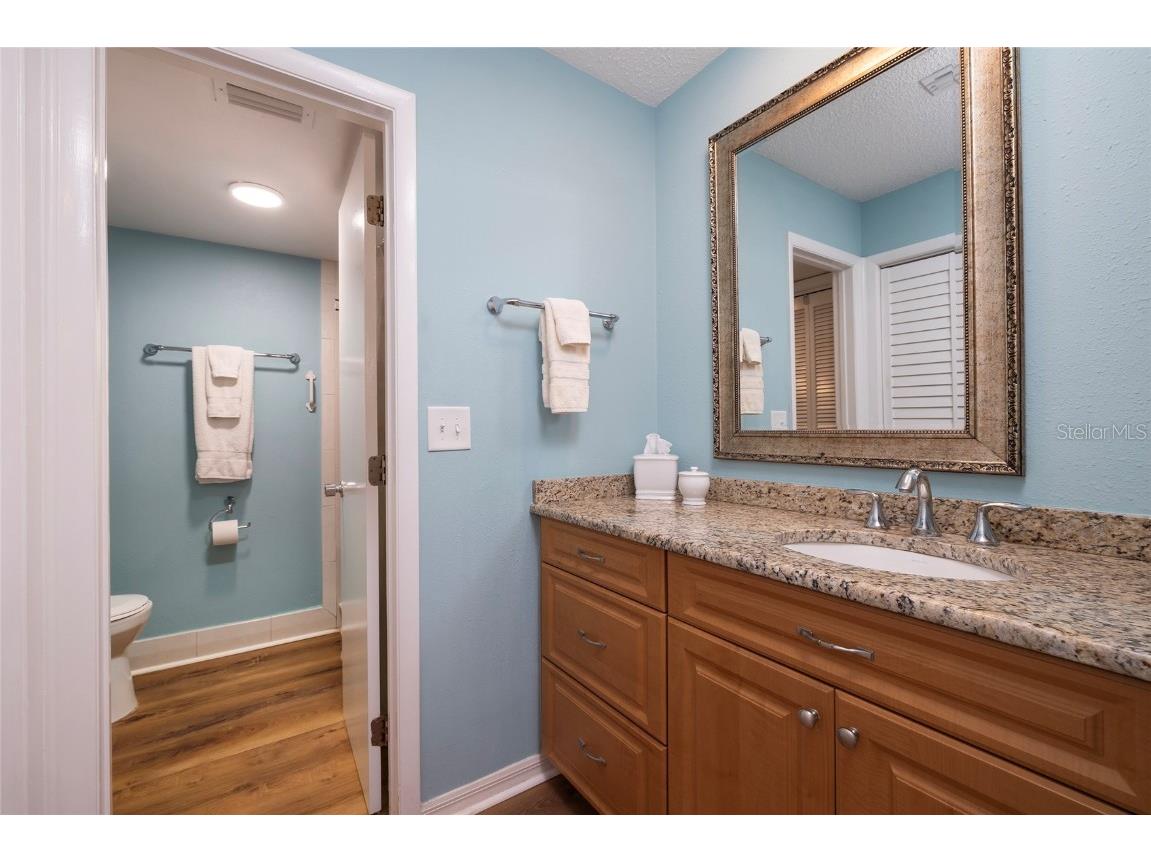 40 Gretchen Court Oldsmar FL 34677 TB8367588 image22