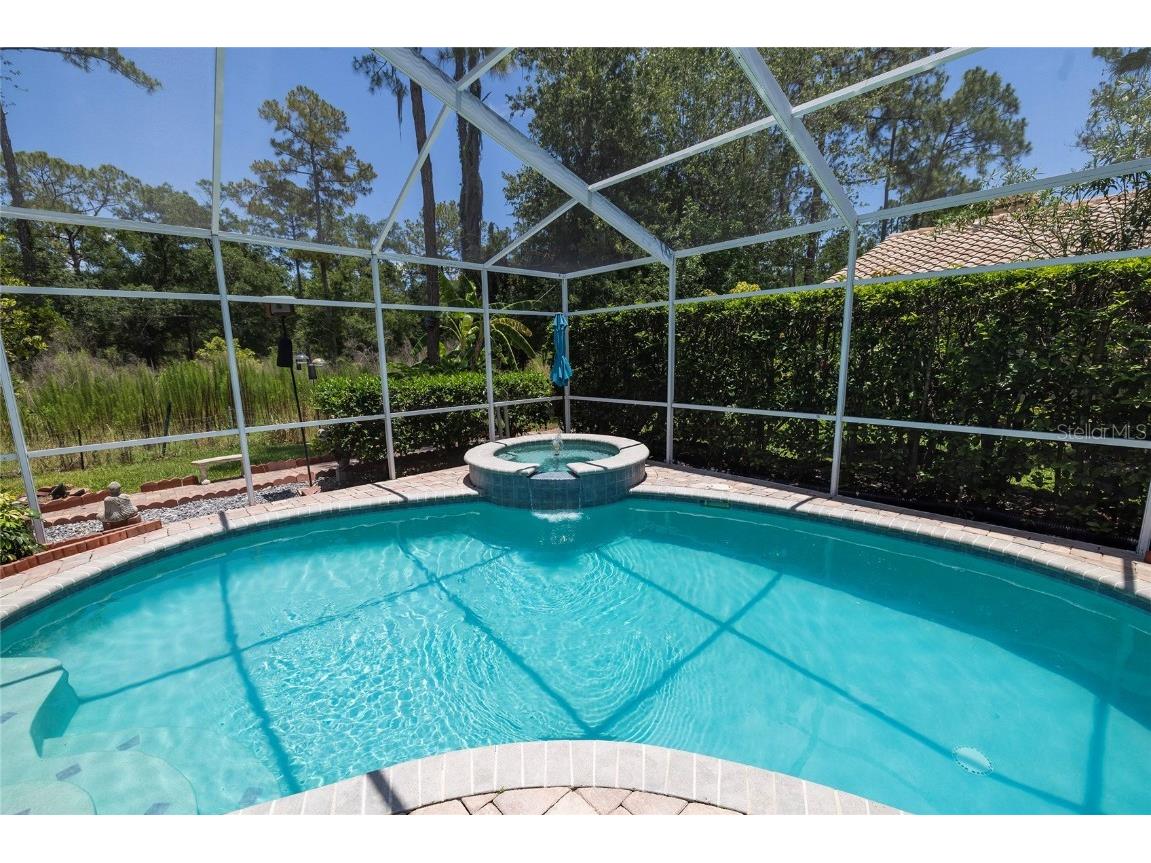 40 Gretchen Court Oldsmar FL 34677 TB8367588 image37