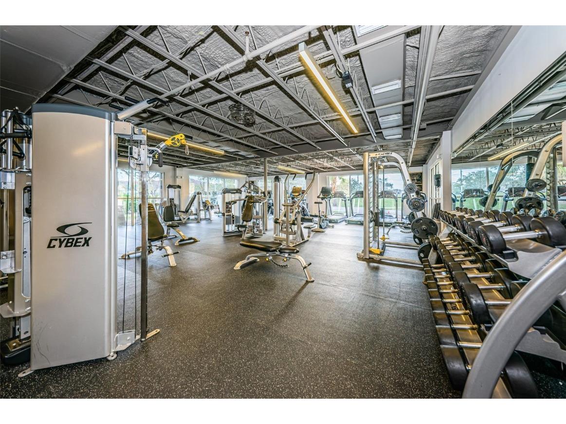 40 Gretchen Court Oldsmar FL 34677 TB8367588 image44