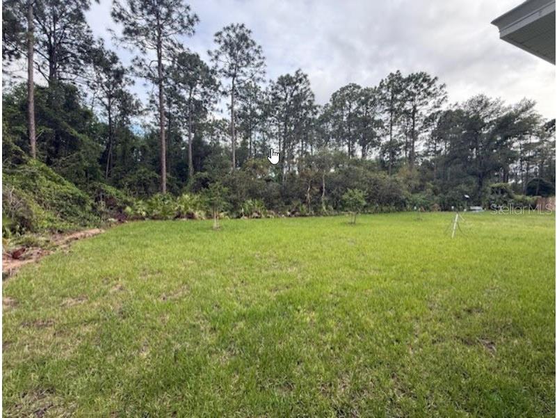 40 Laguna Forest Trail Palm Coast FL 32164 C7509531 image12