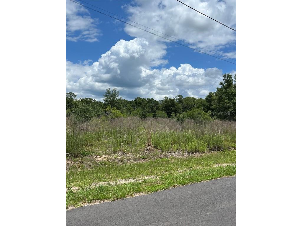 40 Locust Radial Circle Ocala FL 34472 OM679135 image1