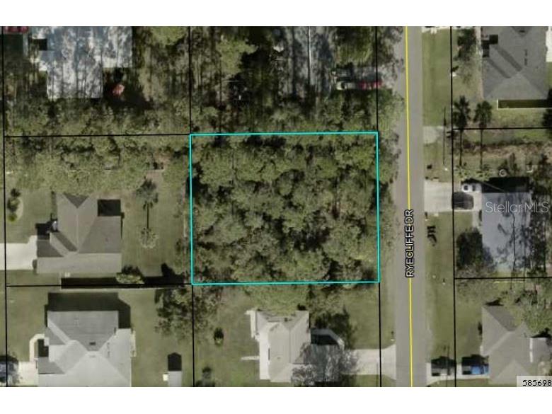 40 Ryecliffe Drive Palm Coast FL 32164 FC293380 image1